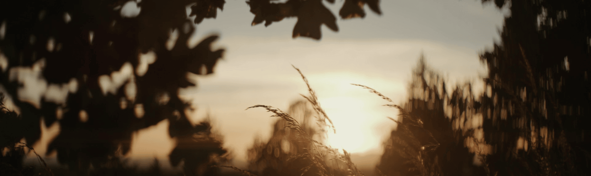  Architects-of-Ardian-header