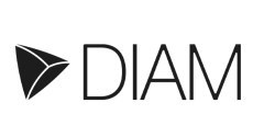 DIAM.png 