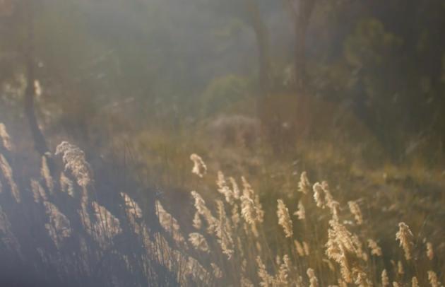 At Trinity Gate Investments, we are invested in the energy transition